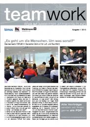 teamwork Newsletter 1 2013